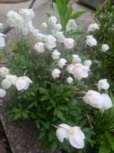 Продается Дом, район Макеевка - Кировский, г. Донецк, Донецкая Народная Республика, Россия