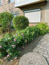 Продается Помещение, Кирова , район Ленинский, г. Донецк, Донецкая Народная Республика, Россия