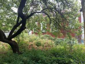 Продается Дом, Красногвардейский , район Калининский, г. Донецк, Донецкая Народная Республика, Россия