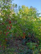 Продается Дом, Левобережная , район Ленинский, г. Донецк, Донецкая Народная Республика, Россия