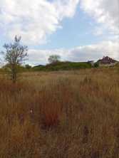 Продается Участок, Квиринга, , район Ленинский, г. Донецк, Донецкая Народная Республика, Россия