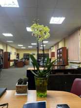 Сдается в аренду Помещение , Донецк ДНР, Ворошиловский р-н.