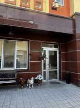 Продается Квартира, 25 лет РККА 16, район Ворошиловский, г. Донецк, Донецкая Народная Республика, Россия