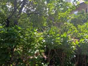 Продается Квартира , Донецк ДНР, Куйбышевский р-н.