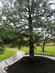 Продается Дом, Калининский р-н. , г. Донецк, Донецкая Народная Республика, Россия